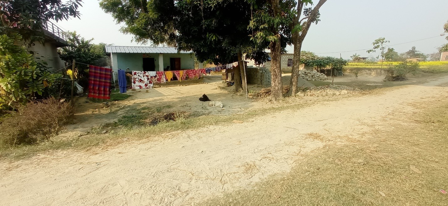 Daunnedevi, Nawalparasi